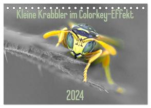 Kleine Krabbler im Colorkey-Effekt (Tischkalender 2024 DIN A5 quer), CALVENDO Monatskalender von Blickwinkel,  Dany´s