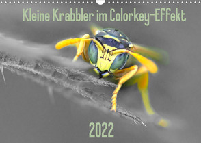 Kleine Krabbler im Colorkey-Effekt (Wandkalender 2022 DIN A3 quer) von Blickwinkel,  Dany´s