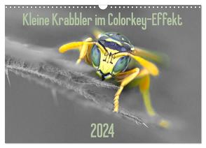 Kleine Krabbler im Colorkey-Effekt (Wandkalender 2024 DIN A3 quer), CALVENDO Monatskalender von Blickwinkel,  Dany´s