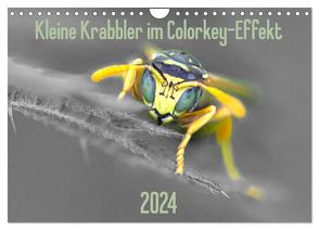 Kleine Krabbler im Colorkey-Effekt (Wandkalender 2024 DIN A4 quer), CALVENDO Monatskalender von Blickwinkel,  Dany´s