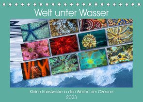 Kleine Kunstwerke in den Weiten der Ozeane (Tischkalender 2023 DIN A5 quer) von Gödecke,  Dieter