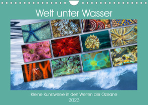 Kleine Kunstwerke in den Weiten der Ozeane (Wandkalender 2023 DIN A4 quer) von Gödecke,  Dieter