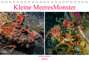 Kleine MeeresMonster (Tischkalender 2019 DIN A5 quer) von Gödecke,  Dieter