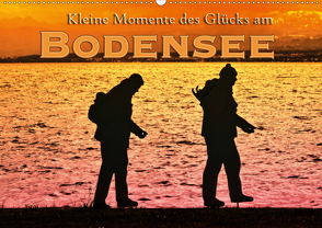 Kleine Momente des Glücks am Bodensee (Wandkalender 2020 DIN A2 quer) von Brinker,  Sabine