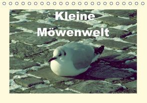 Kleine Möwenwelt (Tischkalender immerwährend DIN A5 quer) von Thede,  Peter