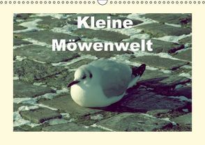 Kleine Möwenwelt (Wandkalender immerwährend DIN A3 quer) von Thede,  Peter