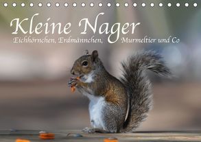 Kleine Nager – Eichhörnchen Erdmännchen, Murmeltier und Co (Tischkalender 2018 DIN A5 quer) von Styppa,  Robert