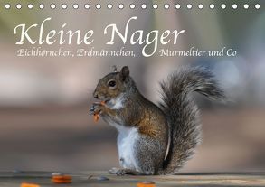 Kleine Nager – Eichhörnchen Erdmännchen, Murmeltier und Co (Tischkalender 2019 DIN A5 quer) von Styppa,  Robert