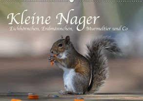 Kleine Nager – Eichhörnchen Erdmännchen, Murmeltier und Co (Wandkalender 2018 DIN A2 quer) von Styppa,  Robert