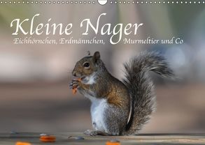 Kleine Nager – Eichhörnchen Erdmännchen, Murmeltier und Co (Wandkalender 2018 DIN A3 quer) von Styppa,  Robert