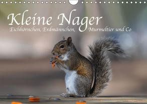 Kleine Nager – Eichhörnchen Erdmännchen, Murmeltier und Co (Wandkalender 2018 DIN A4 quer) von Styppa,  Robert