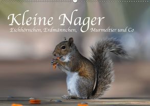 Kleine Nager – Eichhörnchen Erdmännchen, Murmeltier und Co (Wandkalender 2019 DIN A2 quer) von Styppa,  Robert