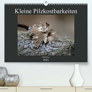 Kleine Pilzkostbarkeiten (Premium, hochwertiger DIN A2 Wandkalender 2021, Kunstdruck in Hochglanz) von Won,  Pörli