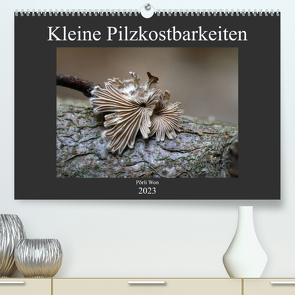 Kleine Pilzkostbarkeiten (Premium, hochwertiger DIN A2 Wandkalender 2023, Kunstdruck in Hochglanz) von Won,  Pörli