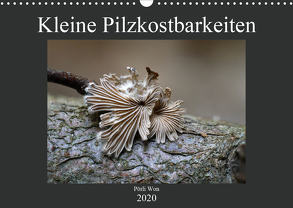 Kleine Pilzkostbarkeiten (Wandkalender 2020 DIN A3 quer) von Won,  Pörli