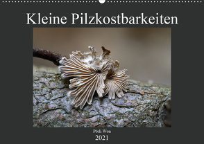 Kleine Pilzkostbarkeiten (Wandkalender 2021 DIN A2 quer) von Won,  Pörli