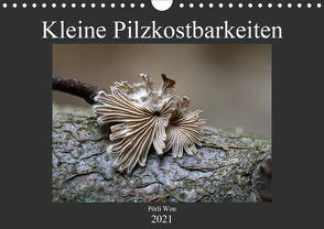 Kleine Pilzkostbarkeiten (Wandkalender 2021 DIN A4 quer) von Won,  Pörli