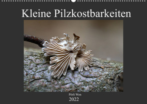 Kleine Pilzkostbarkeiten (Wandkalender 2022 DIN A2 quer) von Won,  Pörli