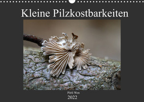 Kleine Pilzkostbarkeiten (Wandkalender 2022 DIN A3 quer) von Won,  Pörli