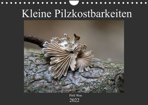 Kleine Pilzkostbarkeiten (Wandkalender 2022 DIN A4 quer) von Won,  Pörli