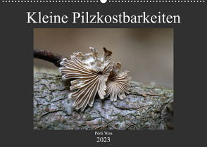 Kleine Pilzkostbarkeiten (Wandkalender 2023 DIN A2 quer) von Won,  Pörli