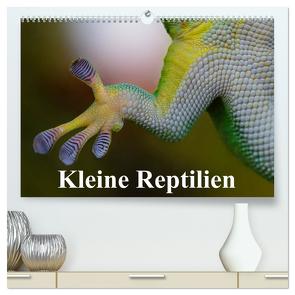 Kleine Reptilien (hochwertiger Premium Wandkalender 2024 DIN A2 quer), Kunstdruck in Hochglanz von Stanzer,  Elisabeth