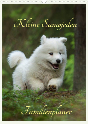 Kleine Samojeden (Wandkalender 2022 DIN A3 hoch) von Pelzer / www.Pelzer-Photography.com,  Claudia