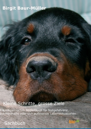 Kleine Schritte, grosse Ziele von Baur-Müller,  Birgit