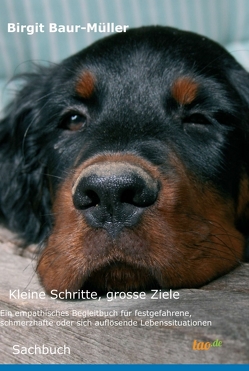 Kleine Schritte, grosse Ziele von Baur-Müller,  Birgit