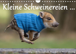 Kleine Schweinereien (Wandkalender 2022 DIN A4 quer) von Schmäing,  Werner