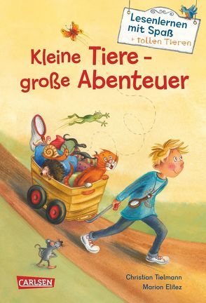 Kleine Tiere – große Abenteuer (Lesenlernen mit Spaß + tollen Tieren 1) von Elitez,  Marion, Tielmann,  Christian