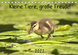 Kleine Tiere, große Freude! (Tischkalender 2022 DIN A5 quer) von Andreas Lederle,  Kevin