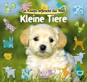 Kleine Tiere