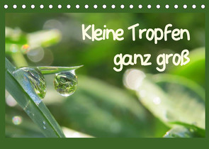 Kleine Tropfen ganz groß (Tischkalender 2023 DIN A5 quer) von Doberstein,  Judith