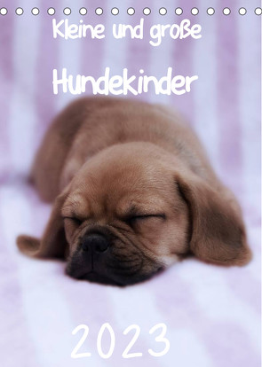 Kleine und große Hundekinder 2023 (Tischkalender 2023 DIN A5 hoch) von Bollich,  Heidi