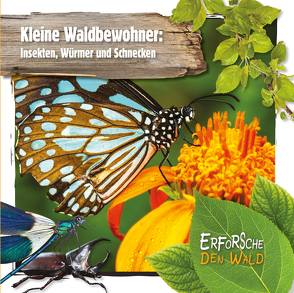 Kleine Waldbewohner: Insekten, Würmer und Schnecken von Twiddy,  Robin