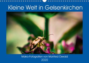 Kleine Welt in Gelsenkirchen (Wandkalender 2020 DIN A3 quer) von Butiko-Print