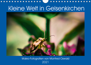 Kleine Welt in Gelsenkirchen (Wandkalender 2021 DIN A4 quer) von Butiko-Print