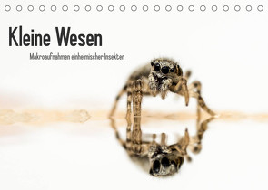 Kleine Wesen – Makroaufnahmen von einheimischen Insekten (Tischkalender 2022 DIN A5 quer) von Voigt,  Andreas