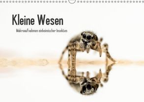 Kleine Wesen – Makroaufnahmen von einheimischen Insekten (Wandkalender 2019 DIN A3 quer) von Voigt,  Andreas