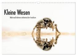 Kleine Wesen – Makroaufnahmen von einheimischen Insekten (Wandkalender 2024 DIN A3 quer), CALVENDO Monatskalender von Voigt,  Andreas