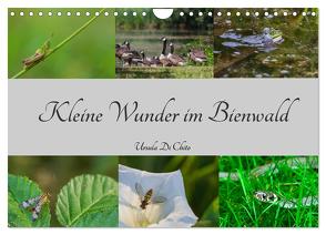 Kleine Wunder im Bienwald (Wandkalender 2024 DIN A4 quer), CALVENDO Monatskalender von Di Chito,  Ursula