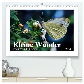 Kleine Wunder – Insekten und Spinnen (hochwertiger Premium Wandkalender 2024 DIN A2 quer), Kunstdruck in Hochglanz von Schöne,  Michael