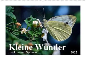 Kleine Wunder – Insekten und Spinnen (Premium, hochwertiger DIN A2 Wandkalender 2022, Kunstdruck in Hochglanz) von Schöne,  Michael