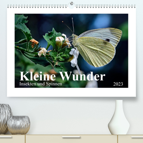 Kleine Wunder – Insekten und Spinnen (Premium, hochwertiger DIN A2 Wandkalender 2023, Kunstdruck in Hochglanz) von Schöne,  Michael