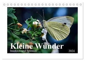 Kleine Wunder – Insekten und Spinnen (Tischkalender 2024 DIN A5 quer), CALVENDO Monatskalender von Schöne,  Michael