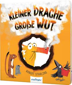 Kleiner Drache Finn: Kleiner Drache, große Wut von Starling,  Robert