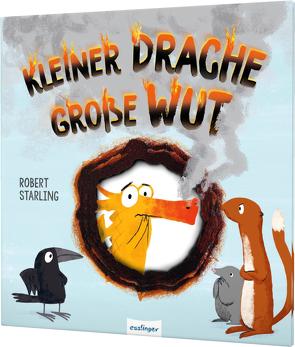 Kleiner Drache Finn: Kleiner Drache – große Wut von Starling,  Robert, Tress,  Sylvia