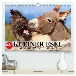 Kleiner Esel. Boldewyn mit seinen Freunden (hochwertiger Premium Wandkalender 2024 DIN A2 quer), Kunstdruck in Hochglanz von Stanzer,  Elisabeth