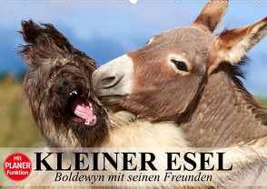 Kleiner Esel. Boldewyn mit seinen Freunden (Wandkalender 2023 DIN A2 quer) von Stanzer,  Elisabeth